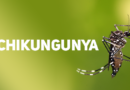 Jundiaí confirma o primeiro caso importado de Chikungunya de 2024