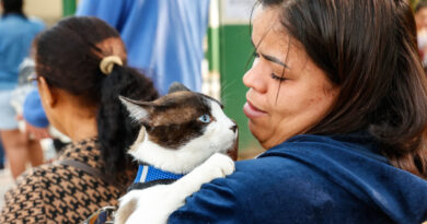 Mutirão de castração gratuita de pets, no Santa Gertrudes, abre agendamento nesta segunda (25)