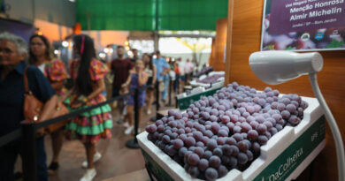 Jundiaí abre edital para captadores pela Lei Rouanet para a 40ª Festa da Uva