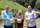 Várzea Paulista realiza a soltura de vinte animais silvestres na natureza