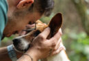 Adoção responsável transforma vidas no Departamento de Bem-Estar Animal de Jundiaí