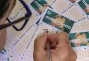 Mega-Sena não tem ganhador e prêmio vai a R$ 110 milhões